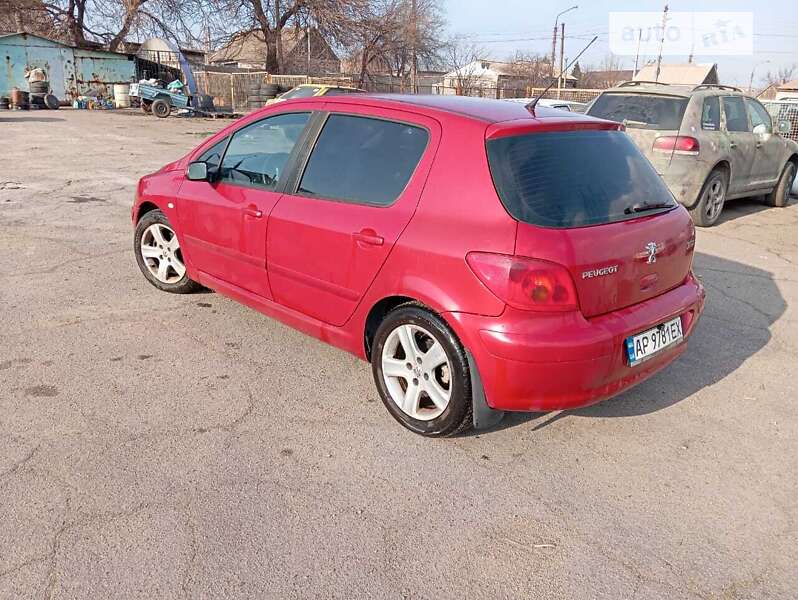 Хэтчбек Peugeot 307 2004 в Запорожье