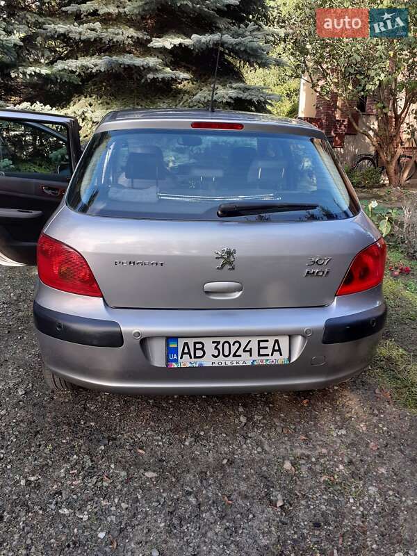 Хетчбек Peugeot 307 2004 в Жмеринці