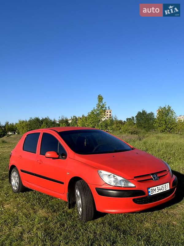 Хэтчбек Peugeot 307 2002 в Шостке