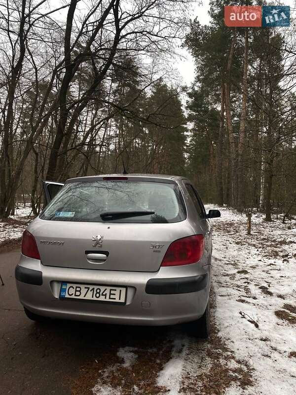 Хетчбек Peugeot 307 2003 в Чернігові