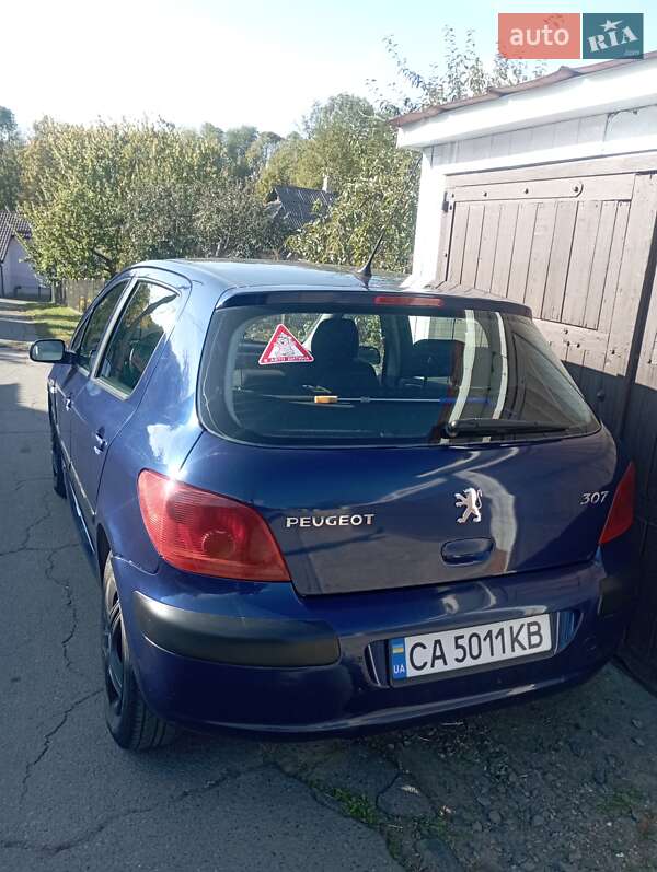 Хэтчбек Peugeot 307 2003 в Тальном фото 3 Хэтчбек Peugeot 307 2003 в Тальном