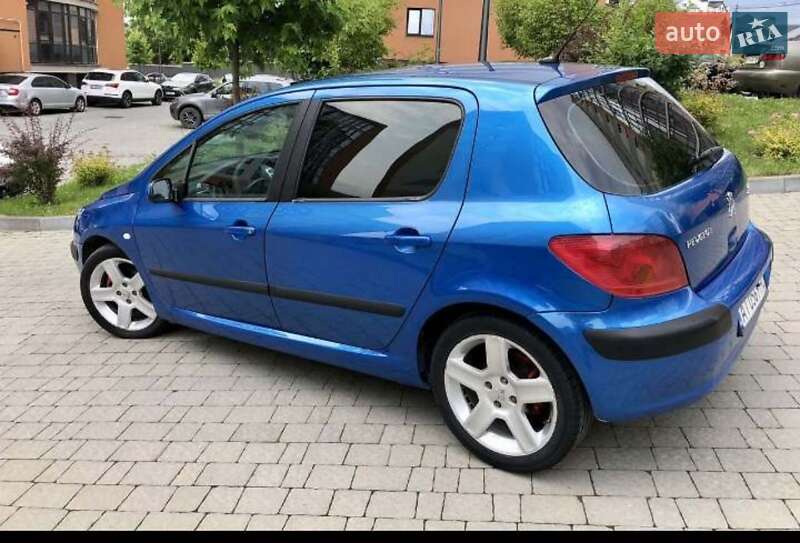 Хетчбек Peugeot 307 2003 в Бурштині
