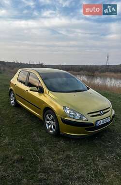 Хэтчбек Peugeot 307 2003 в Первомайске