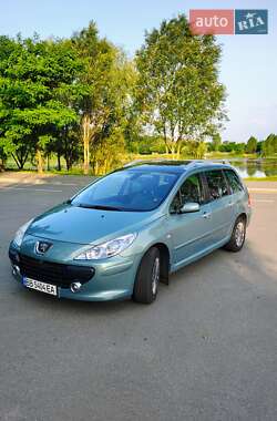 Универсал Peugeot 307 2005 в Гостомеле