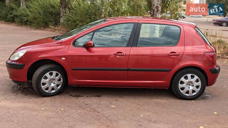 Хэтчбек Peugeot 307 2004 в Кривом Роге