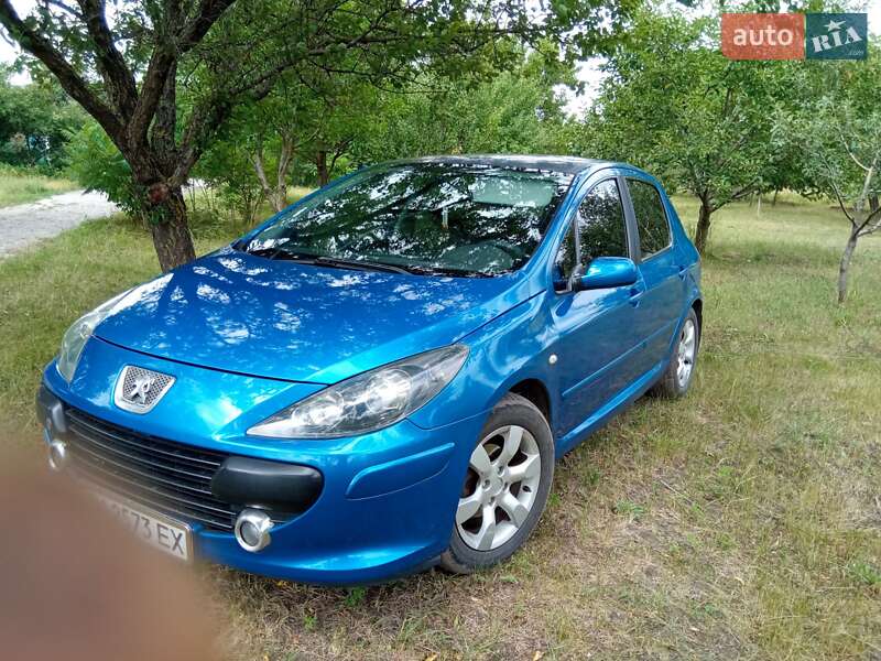 Хетчбек Peugeot 307 2006 в Миргороді