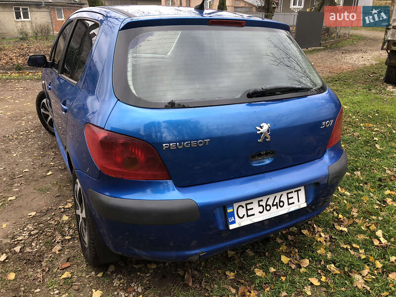 Хетчбек Peugeot 307 2004 в Сторожинці