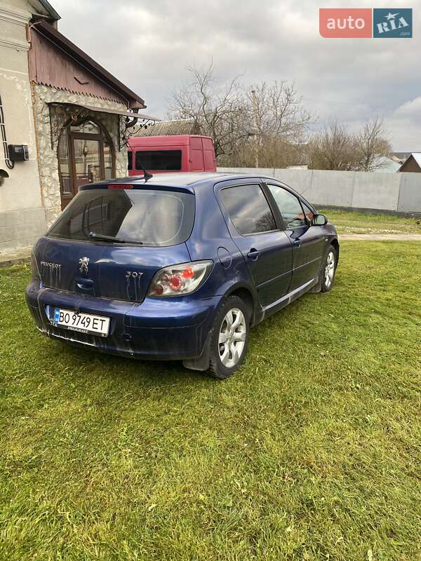 Хетчбек Peugeot 307 2005 в Почаєві