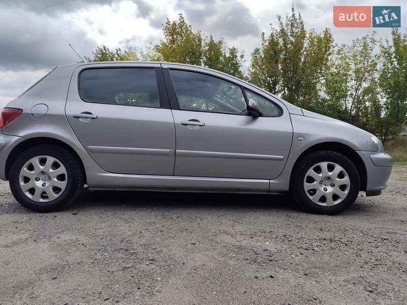 Хэтчбек Peugeot 307 2005 в Брацлаве