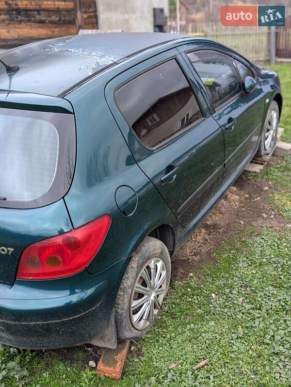 Хэтчбек Peugeot 307 2002 в Самборе