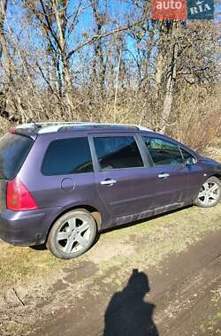 Универсал Peugeot 307 2004 в Лубнах