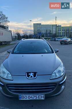 Универсал Peugeot 407 2005 в 