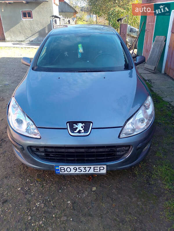 Peugeot 407 2005 Peugeot 407 2005