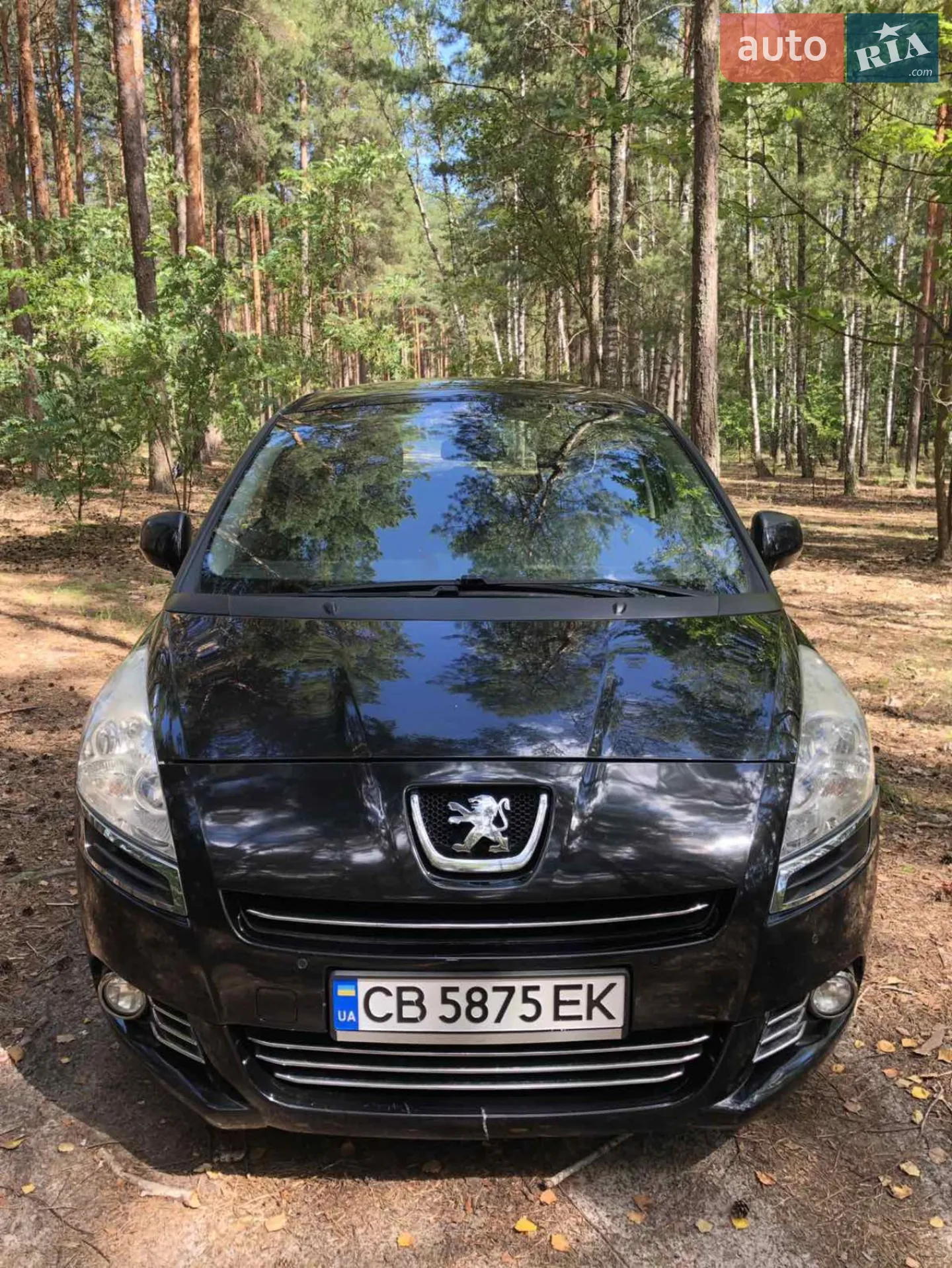 Peugeot 5008 2013