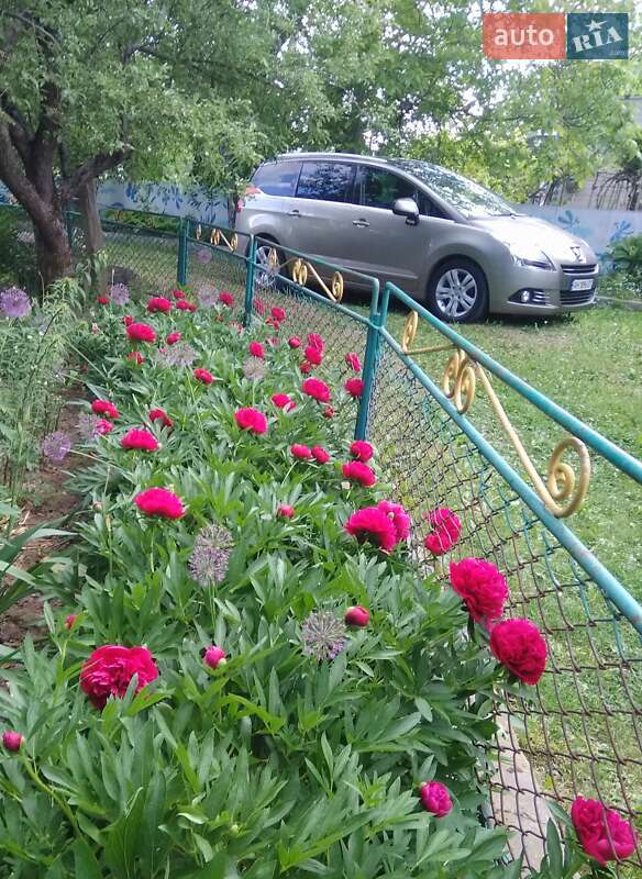 Микровэн Peugeot 5008 2011 в Киеве
