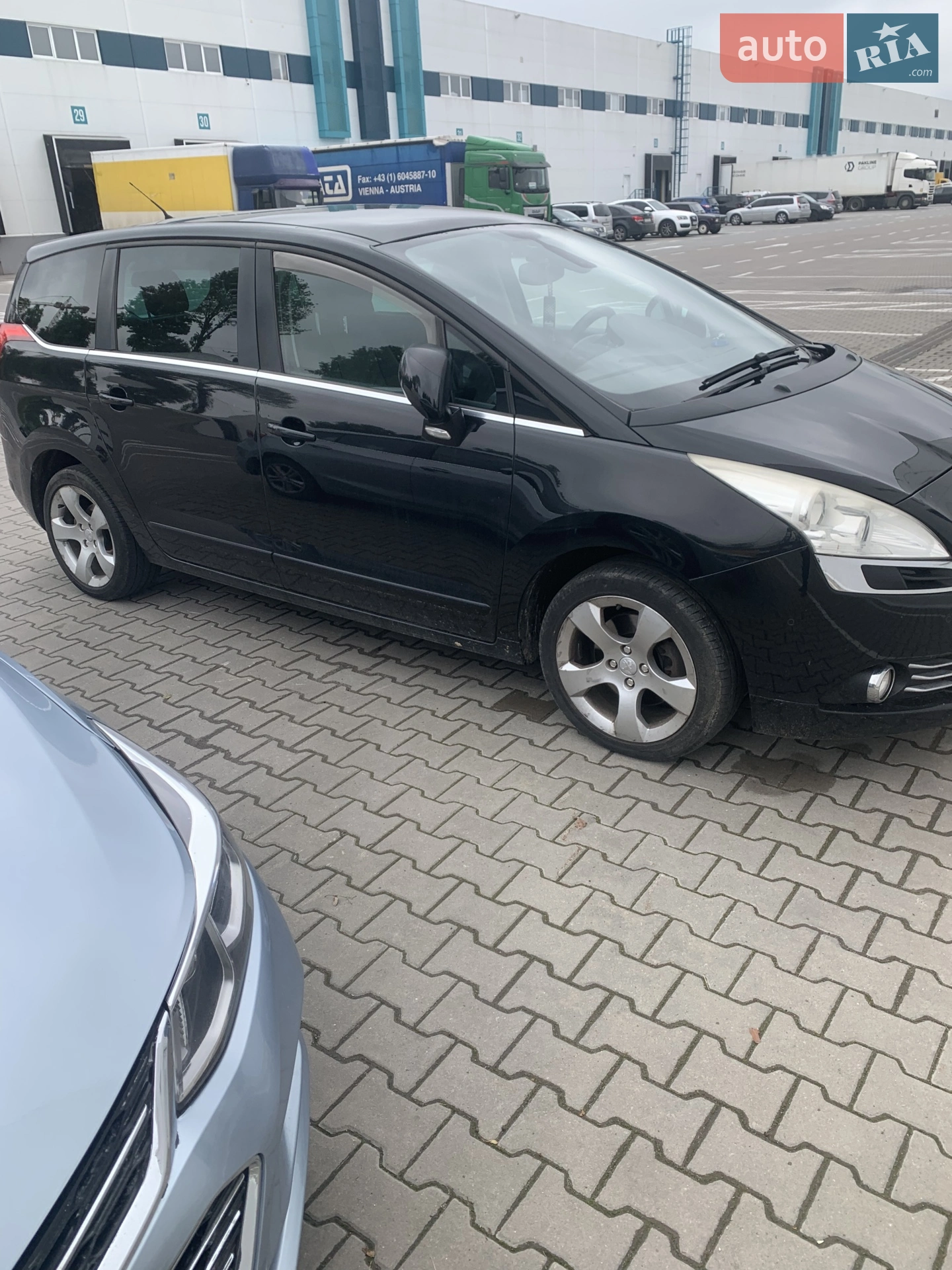 2010 Peugeot 5008 - мініатюра 10