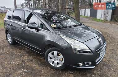 Микровэн Peugeot 5008 2009 в Звягеле
