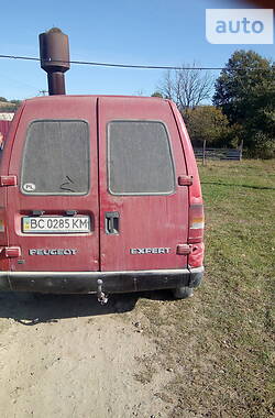 Минивэн Peugeot Expert 2001 в Сколе