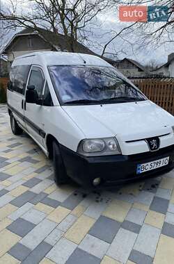 Минивэн Peugeot Expert 2004 в Стрые