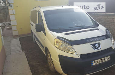 Минивэн Peugeot Expert 2010 в Залещиках