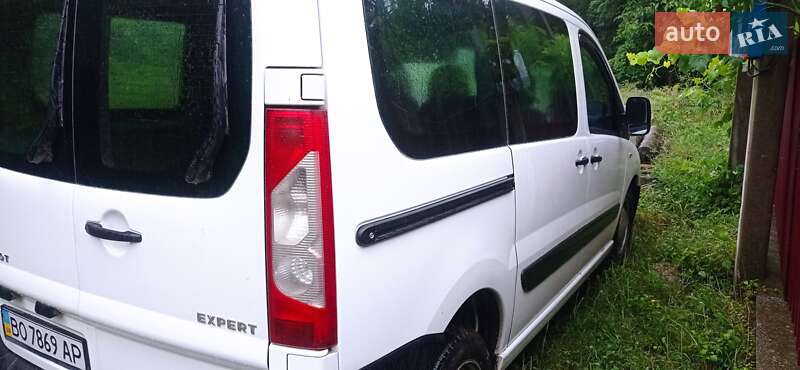 Мінівен Peugeot Expert 2007 в Тернополі