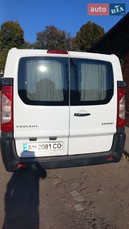 Минивэн Peugeot Expert 2013 в Житомире