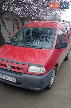 Вантажний фургон Peugeot Expert 1999 в Вінниці