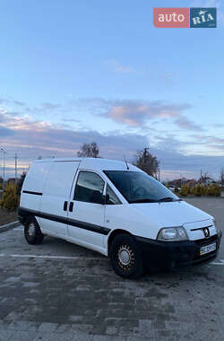 Вантажний фургон Peugeot Expert 2006 в Мостиській