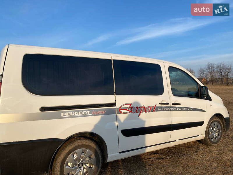 Мінівен Peugeot Expert 2007 в Хмільнику
