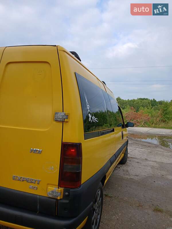 Мінівен Peugeot Expert 2006 в Стрию