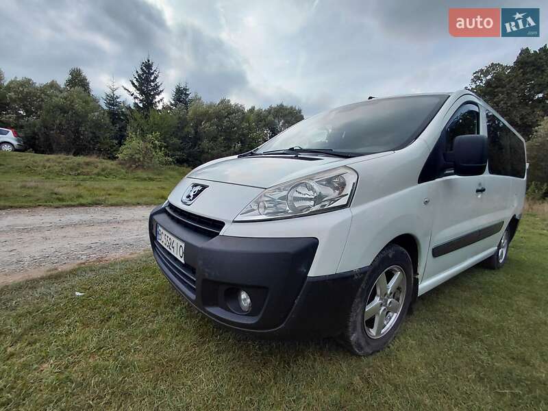 Минивэн Peugeot Expert 2009 в Трускавце