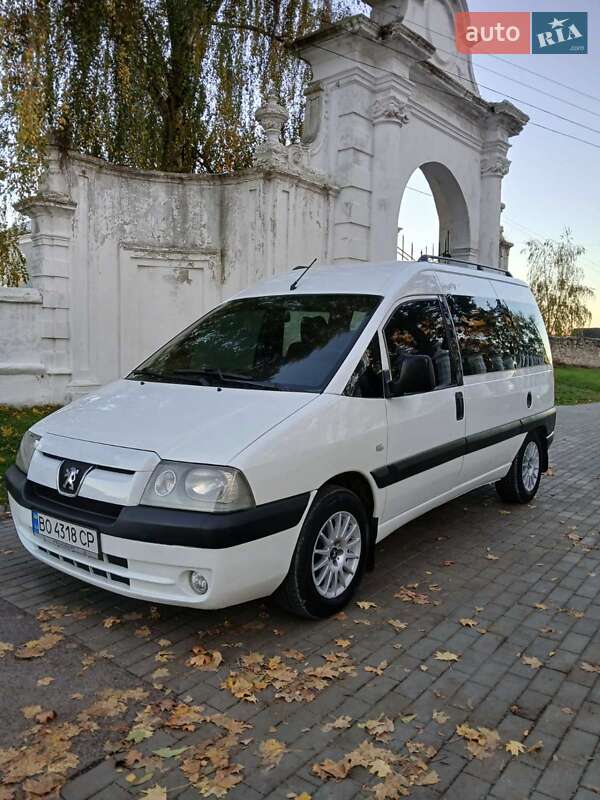 Минивэн Peugeot Expert 2005 в Кременце
