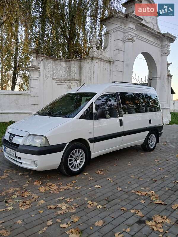 Минивэн Peugeot Expert 2005 в Кременце