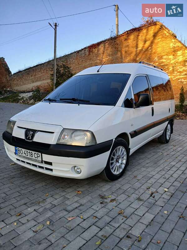 Минивэн Peugeot Expert 2005 в Кременце