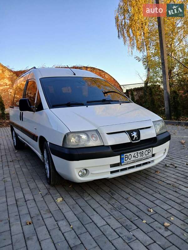 Минивэн Peugeot Expert 2005 в Кременце