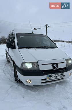 Мінівен Peugeot Expert 2006 в Клевані