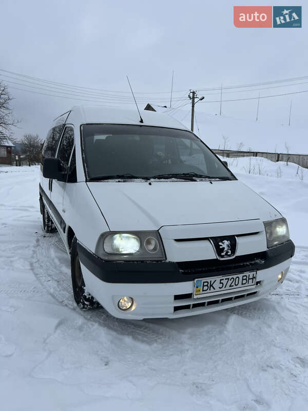 Минивэн Peugeot Expert 2006 в Клевани