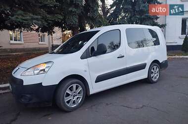 Минивэн Peugeot Partner 2010 в Теофиполе