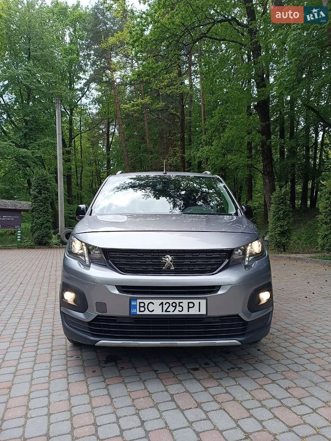 2019 Peugeot Rifter - мініатюра 3