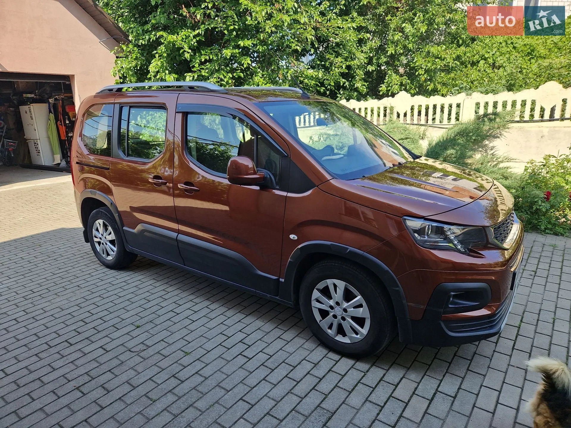 2020 Peugeot Rifter - мініатюра 3