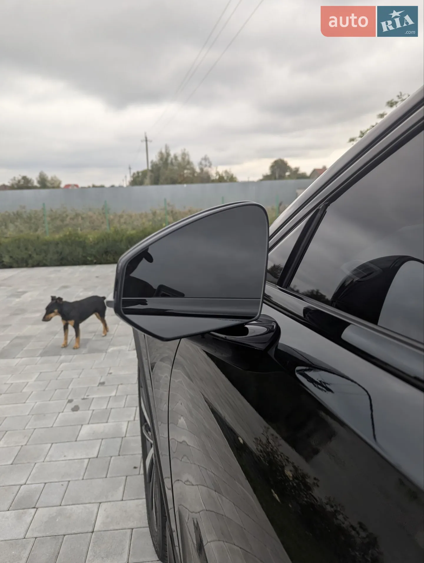 2021 Polestar 2 - мініатюра 18