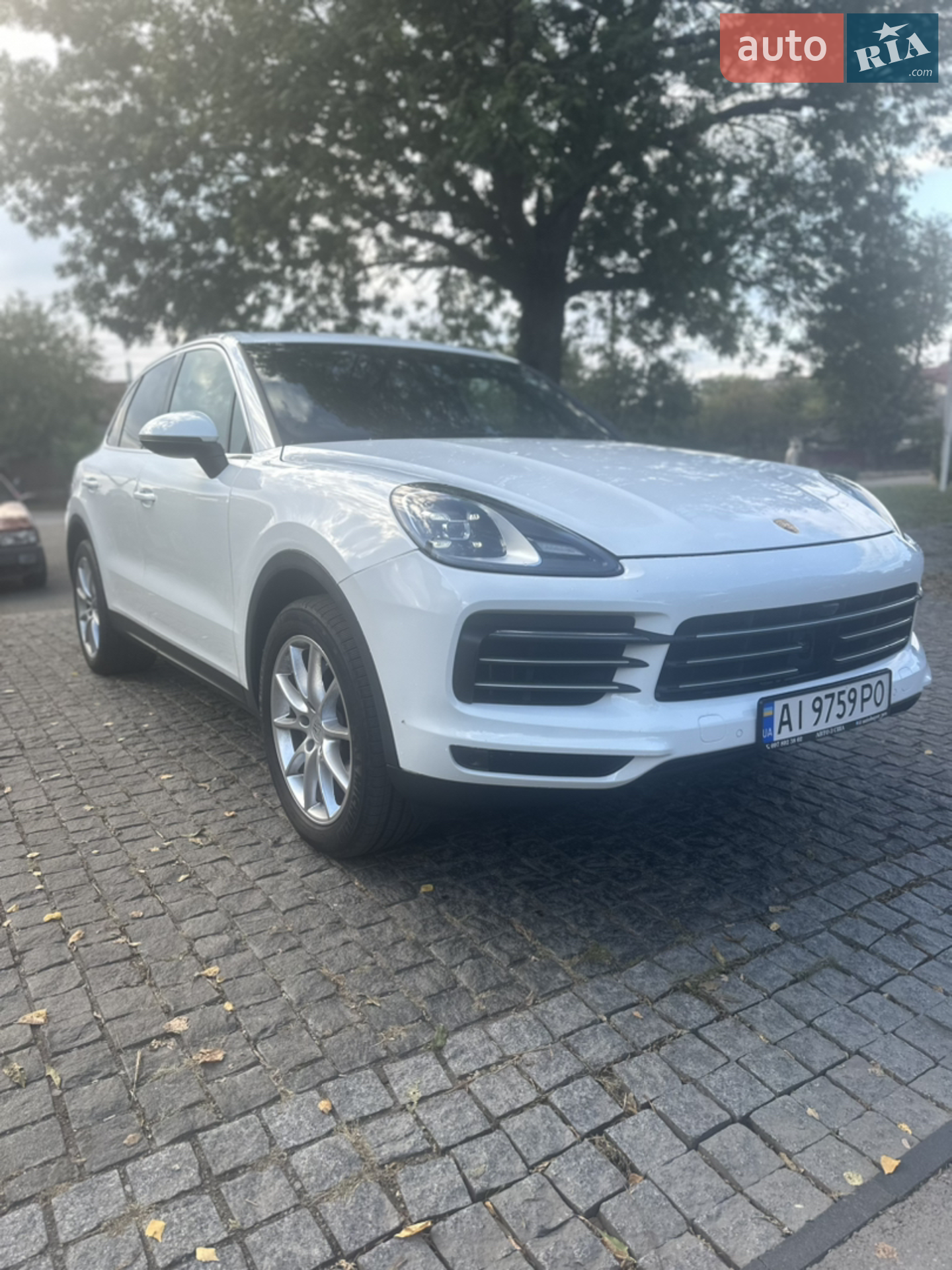 2019 Porsche Cayenne - мініатюра 26
