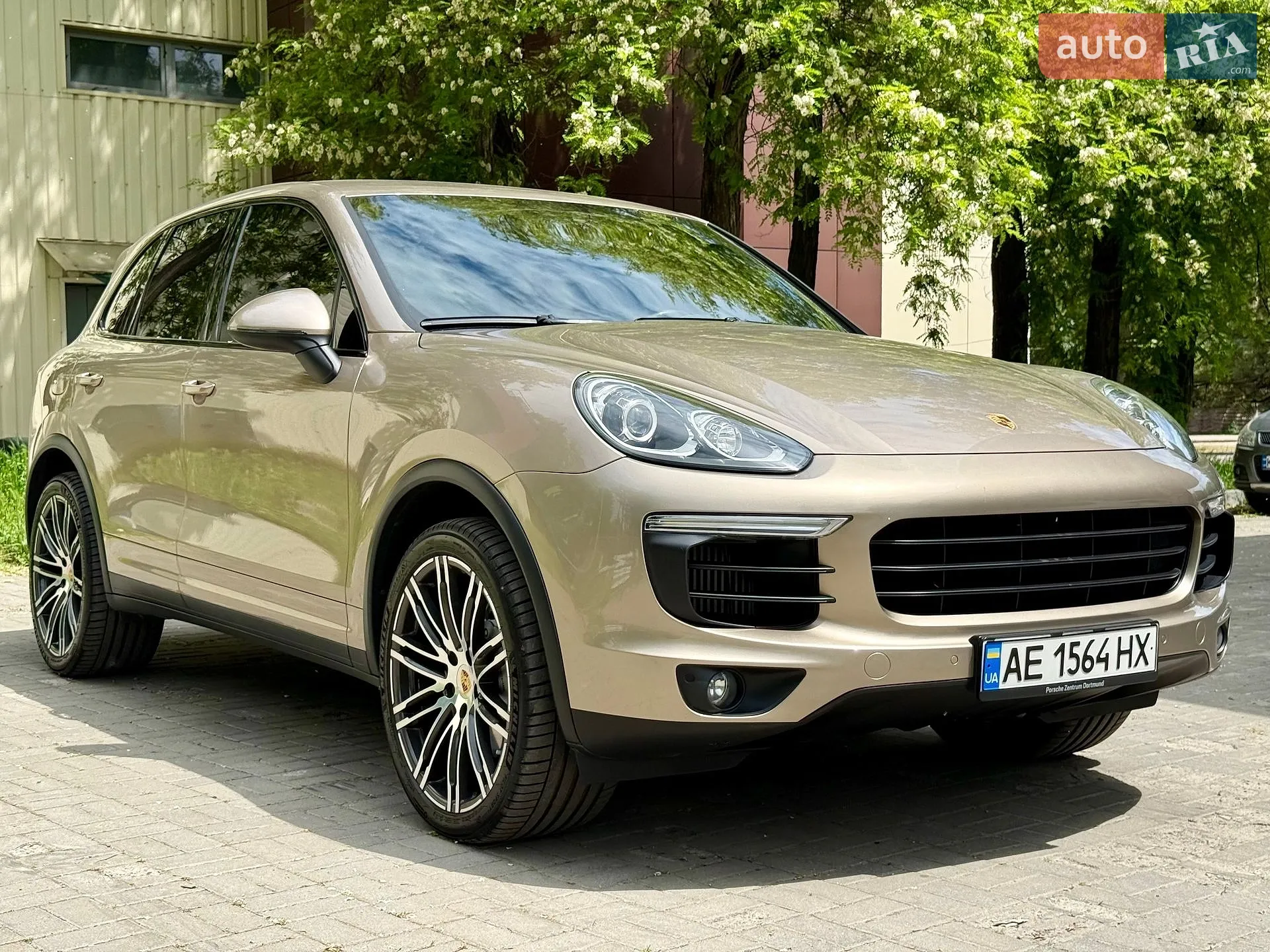 2016 Porsche Cayenne - мініатюра 8