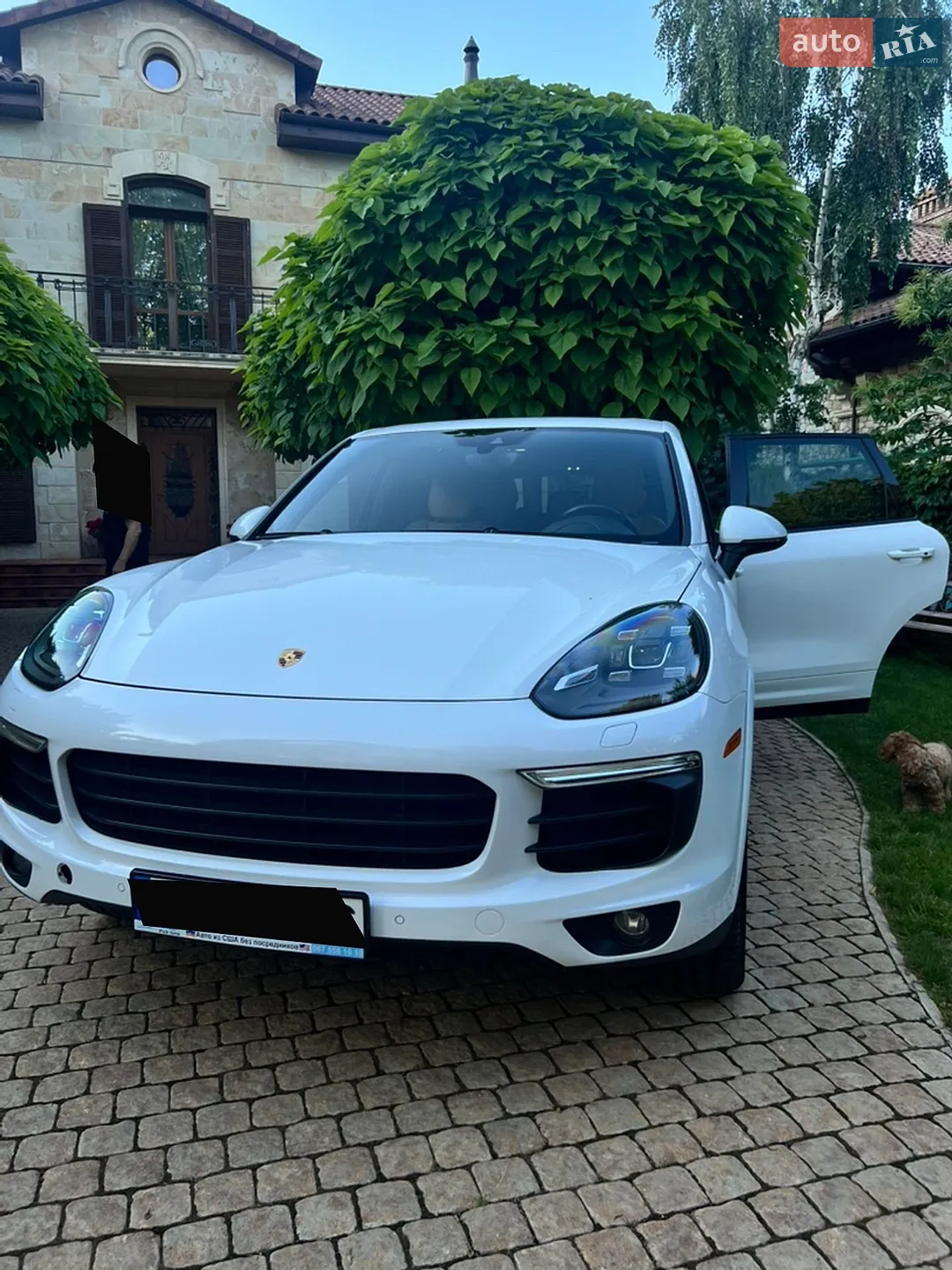 2017 Porsche Cayenne - мініатюра 8