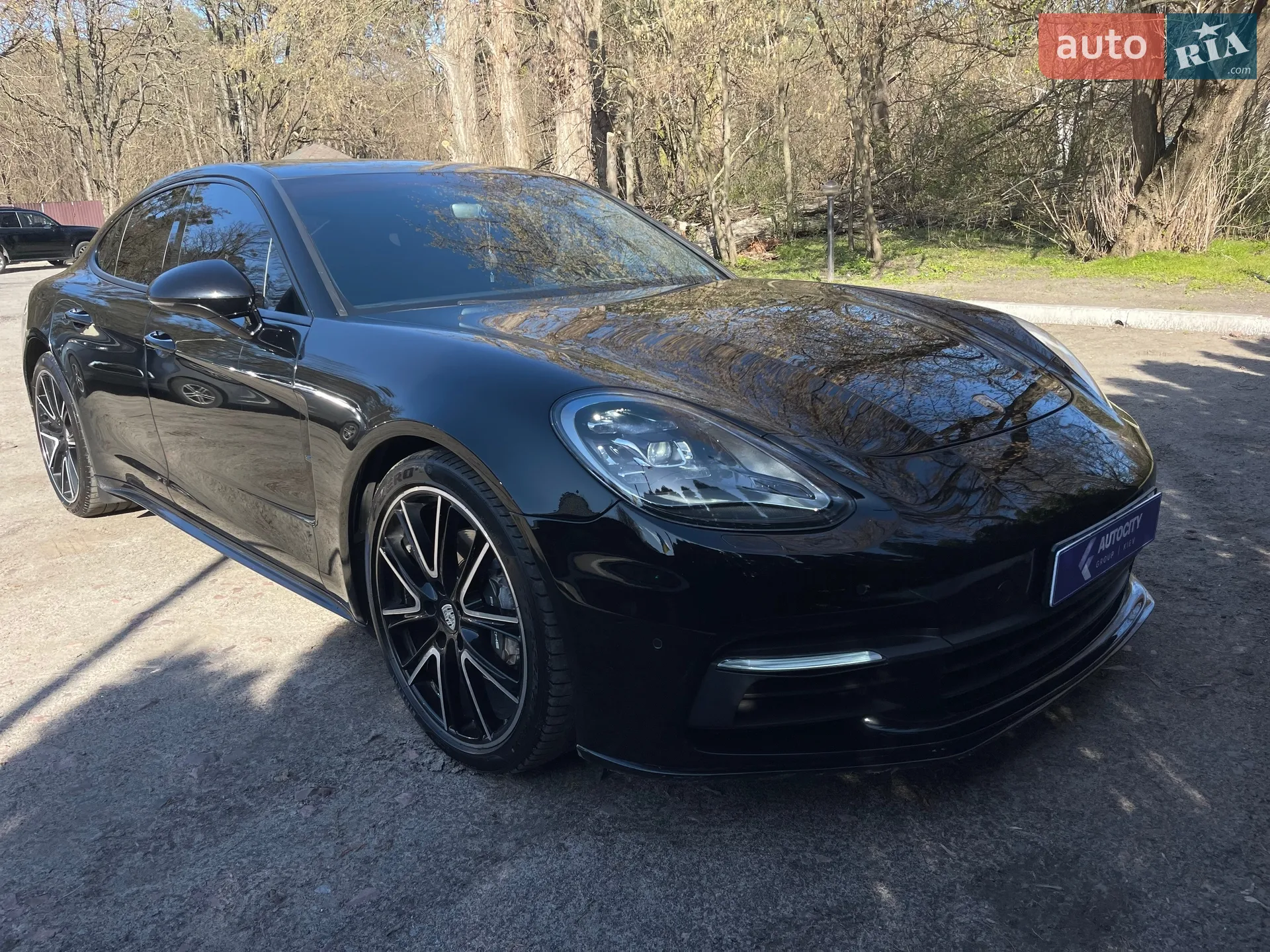 2019 Porsche Panamera - мініатюра 16