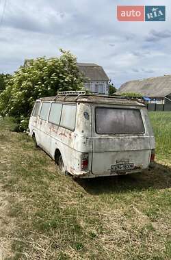 Другие автобусы РАФ 2203 1982 в 