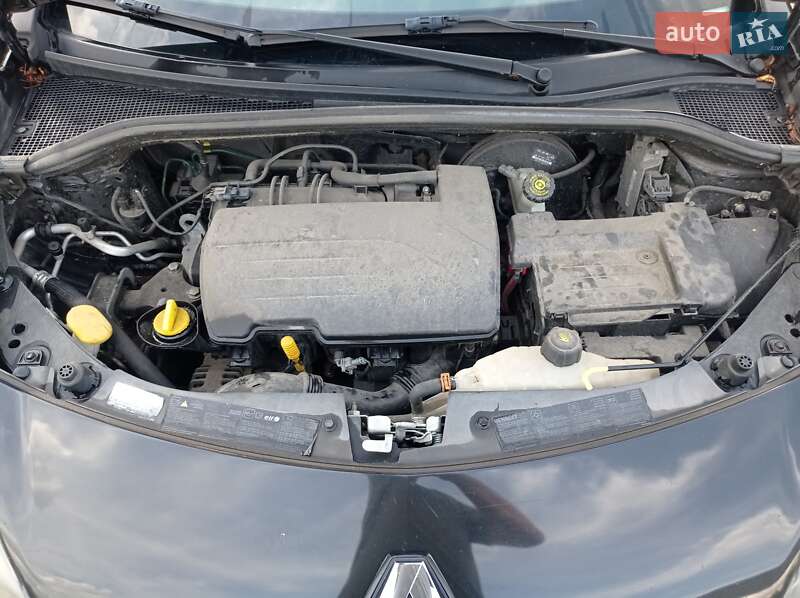 Хетчбек Renault Clio 2010 в Турійську