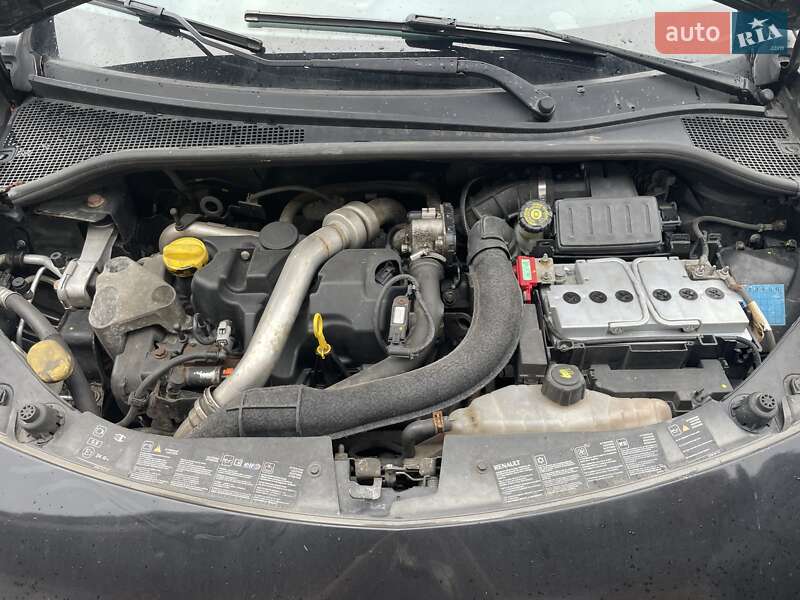 Хэтчбек Renault Clio 2009 в Гайсине