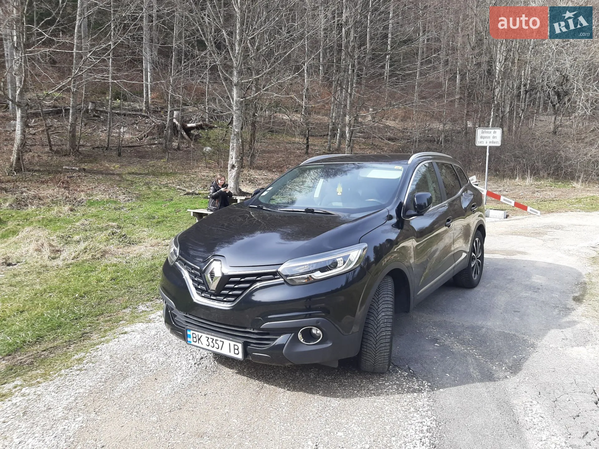 2016 Renault Kadjar - мініатюра 2