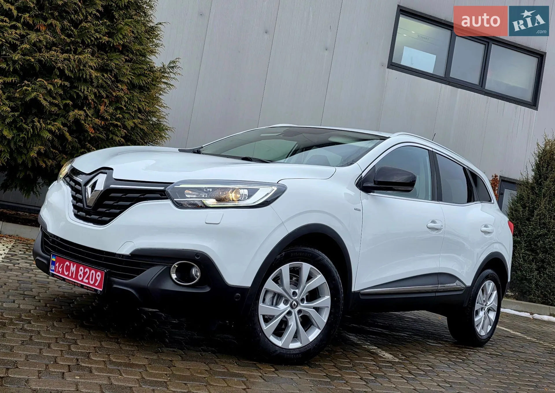 2019 Renault Kadjar - мініатюра 8
